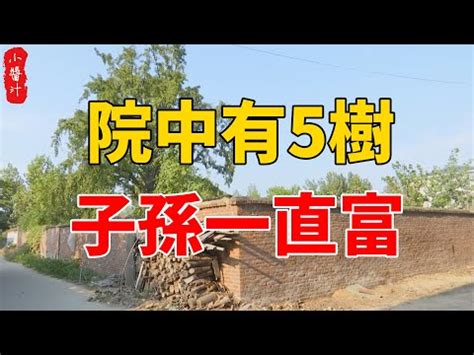 種桃花風水|【桃花樹風水】桃花樹風水：古代風水禁忌與現代居家桃花指南